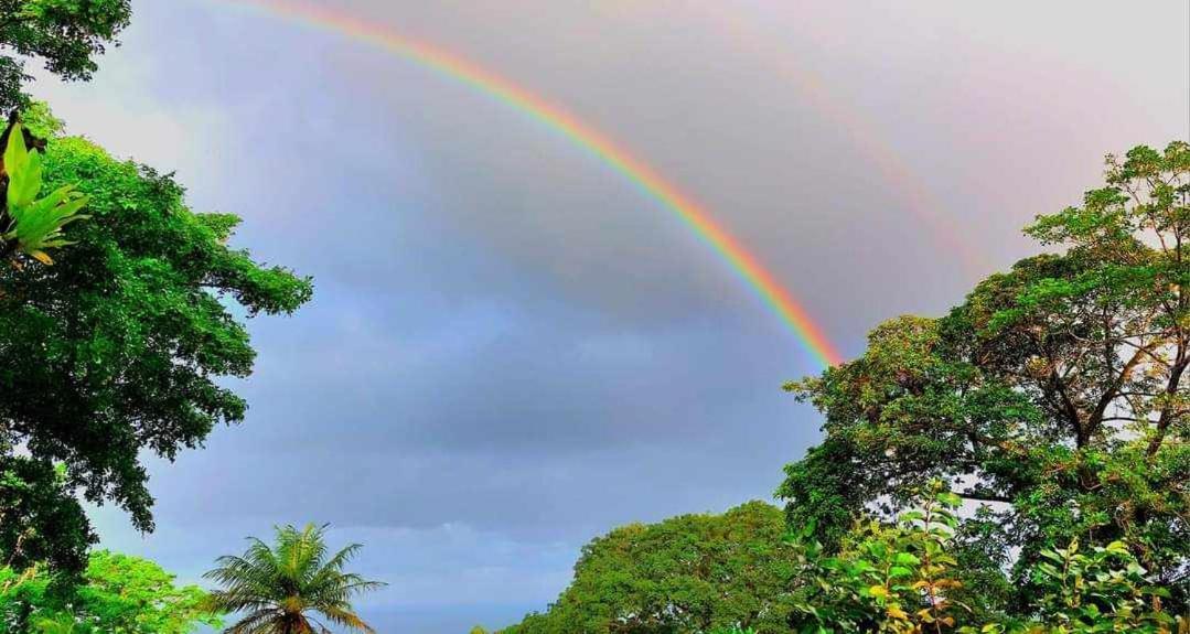 Pousadinha Mar Ave Ilha Principe Zewnętrze zdjęcie
